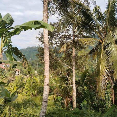 Khrisna Hs And Cottages Sidemen  Esterno foto
