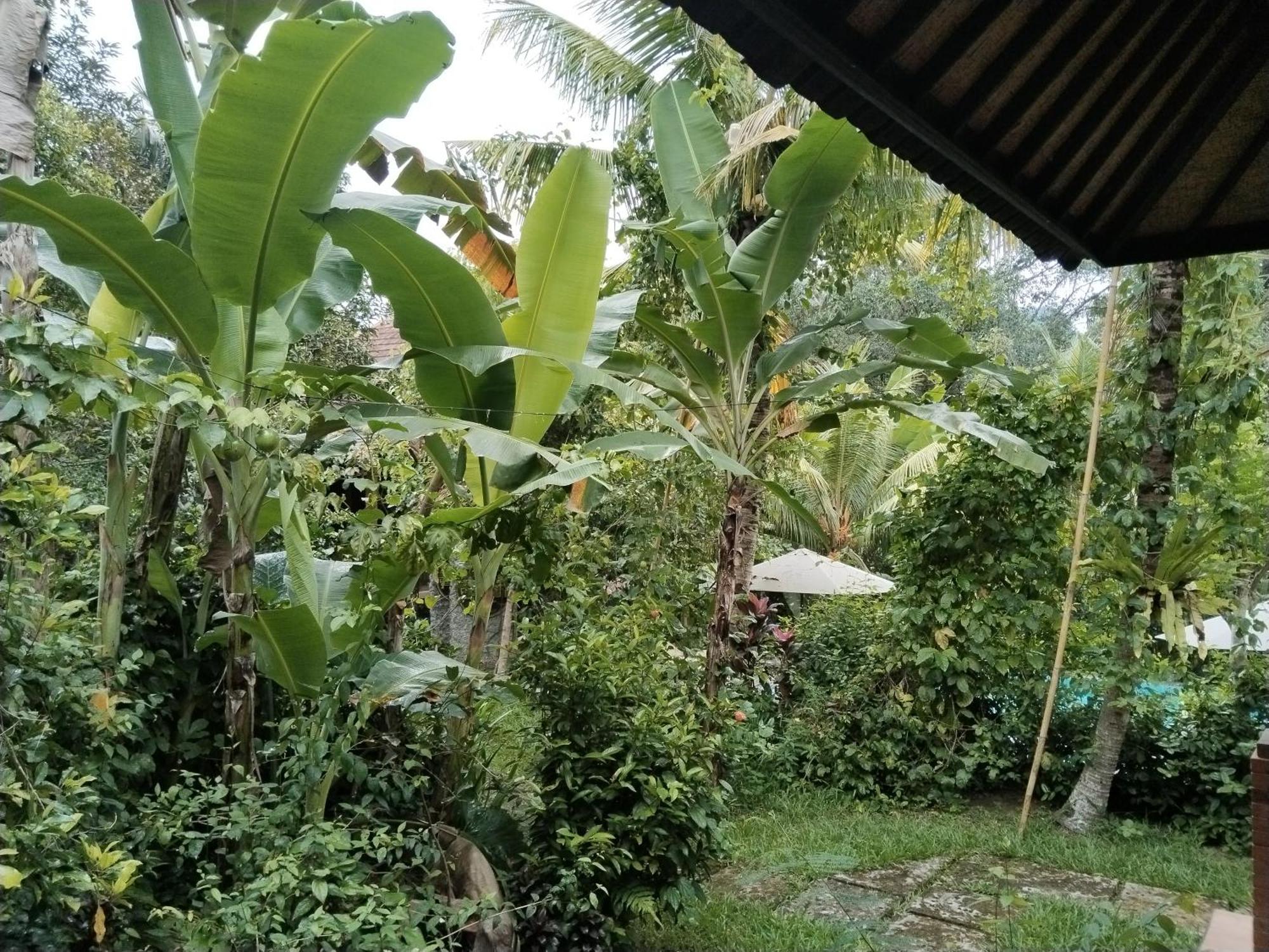 Khrisna Hs And Cottages Sidemen  Esterno foto