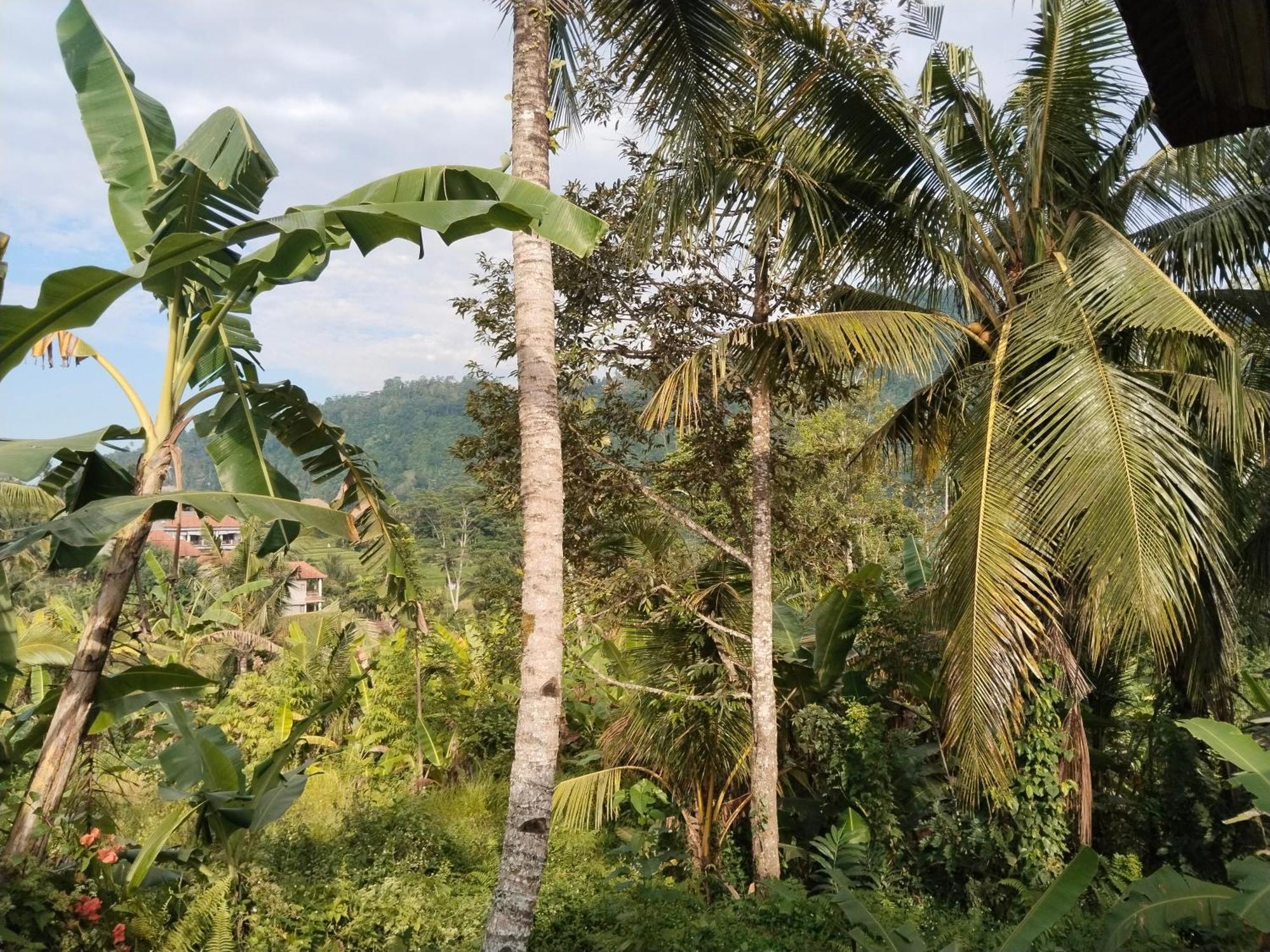 Khrisna Hs And Cottages Sidemen  Esterno foto